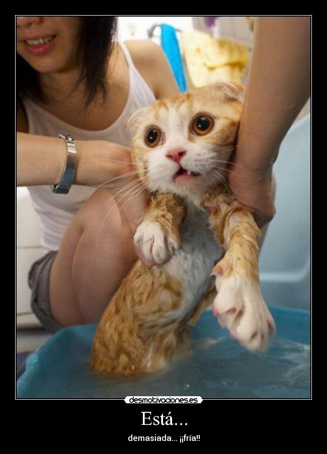 Está... - demasiada... ¡¡fría!!