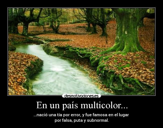 En un país multicolor... -