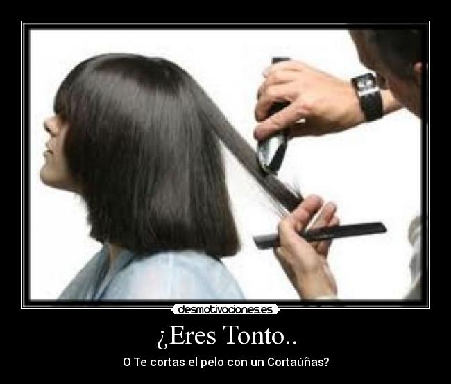 ¿Eres Tonto.. -