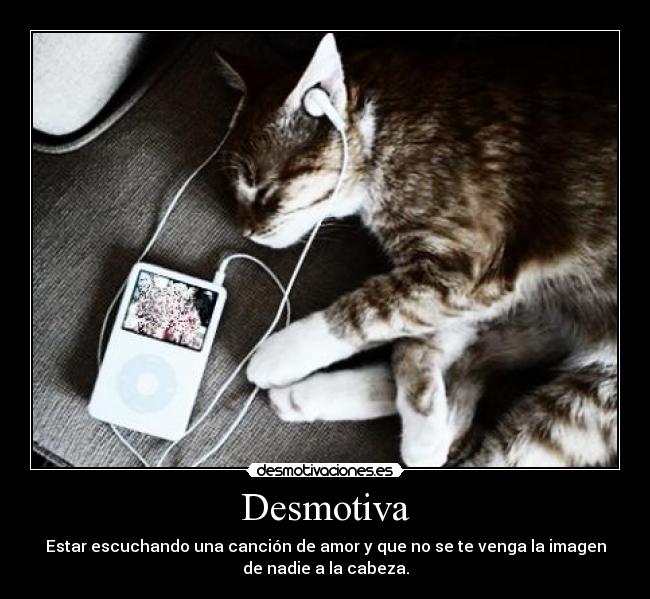 carteles desmotiva escuchando gatosmusica cabeza amor desmotivaciones