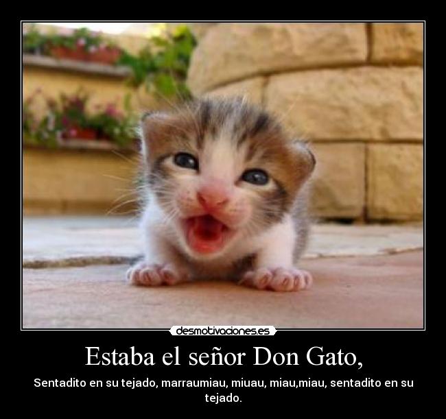 carteles ewt desmotivaciones