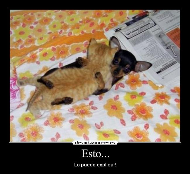 Esto... -