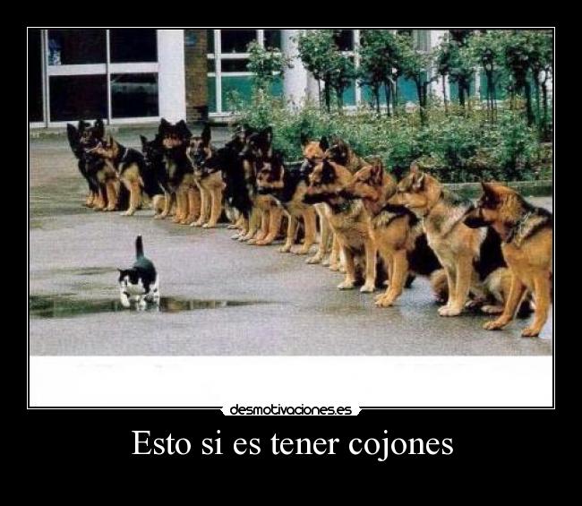 Esto si es tener cojones -