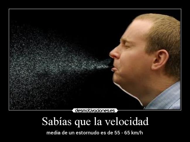 Sabías que la velocidad - media de un estornudo es de 55 - 65 km/h