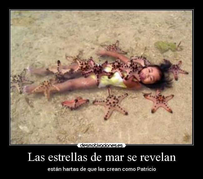 Las estrellas de mar se revelan - están hartas de que las crean como Patricio