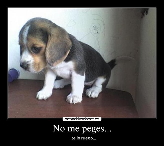 No me peges... - ...te lo ruego...