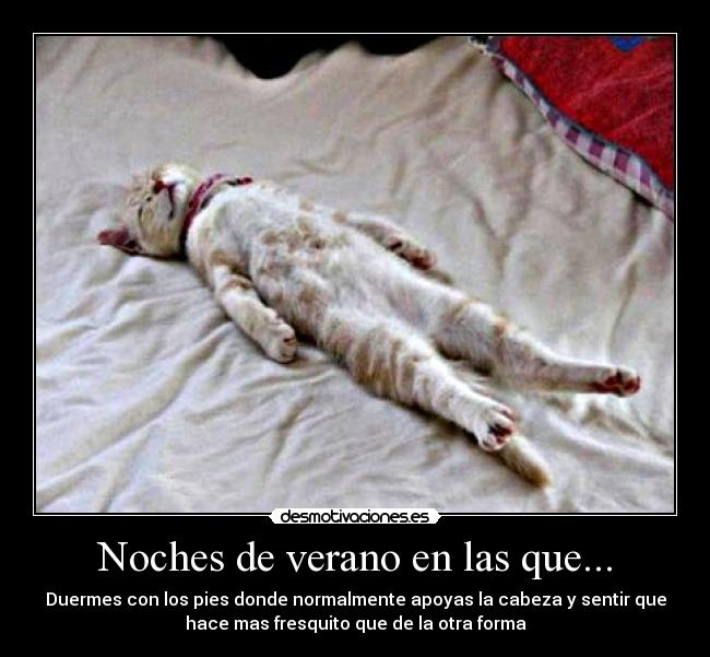 Noches de verano en las que... - Duermes con los pies donde normalmente apoyas la cabeza y sentir que
hace mas fresquito que de la otra forma