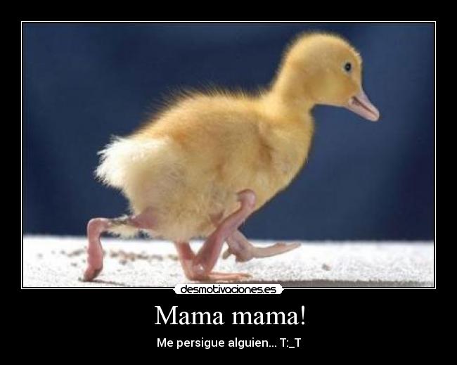 carteles pato gracioso correr patas amarillo pico plumas desmotivaciones