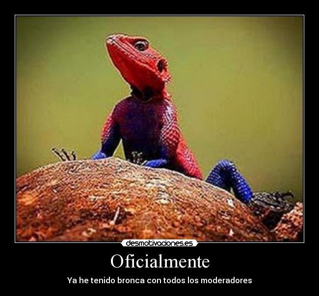 Oficialmente - 