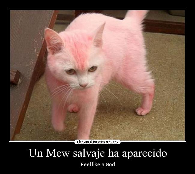 Un Mew salvaje ha aparecido -