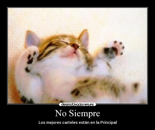 No Siempre - Los mejores carteles están en la Principal