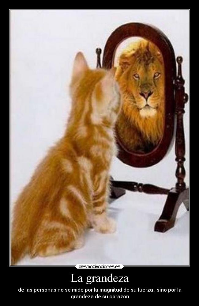 La grandeza - 