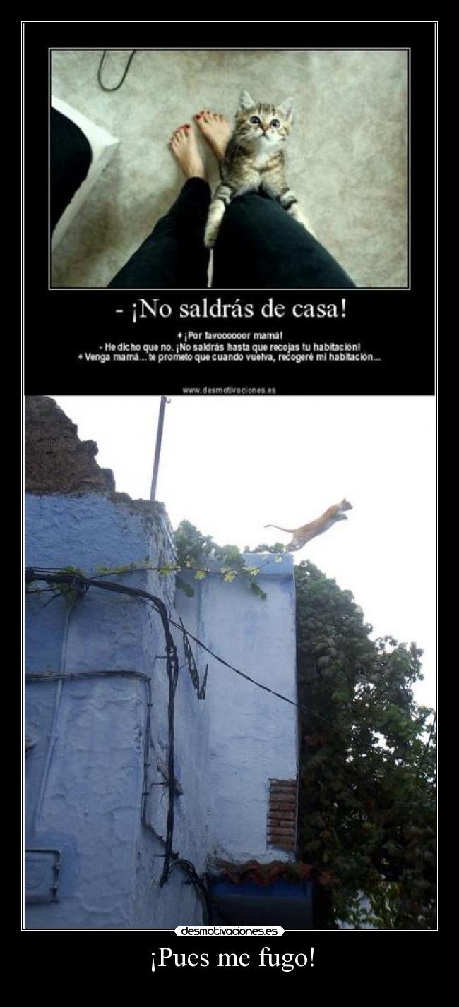 ¡Pues me fugo! - 