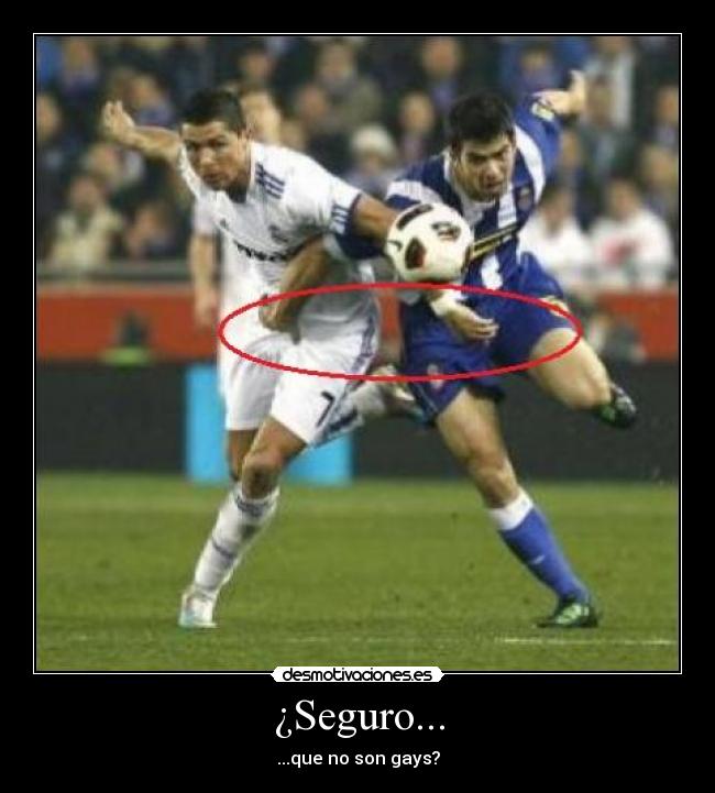 ¿Seguro... - ...que no son gays?