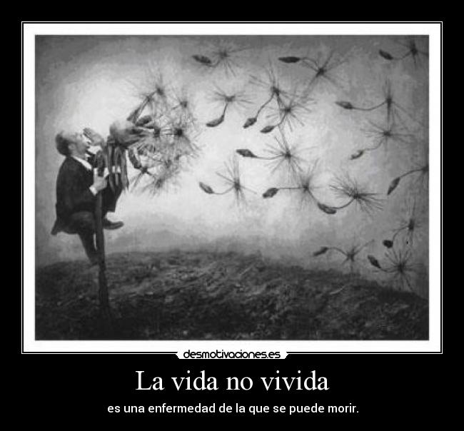 carteles vida asdasd desmotivaciones