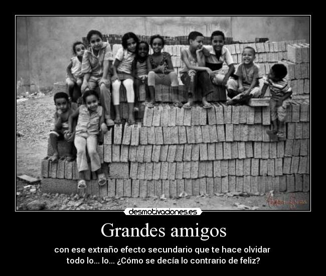 Grandes amigos -