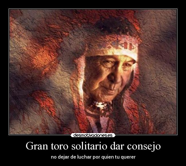 Gran toro solitario dar consejo - no dejar de luchar por quien tu querer