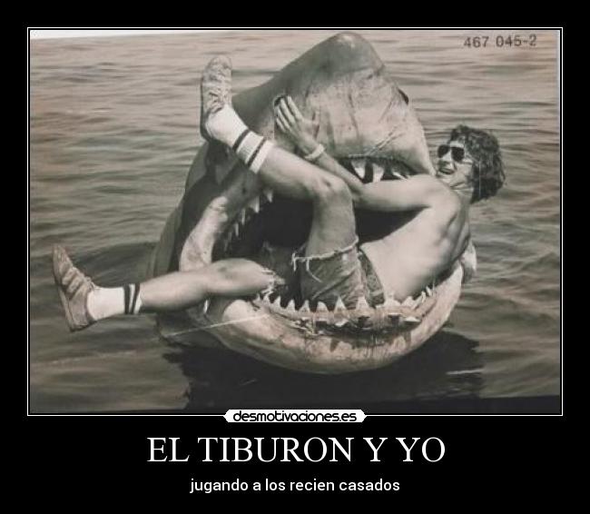 EL TIBURON Y YO - 