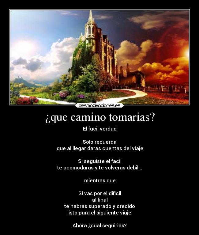 carteles dilema desmotivaciones