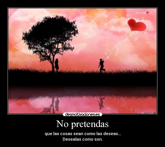 No pretendas - 