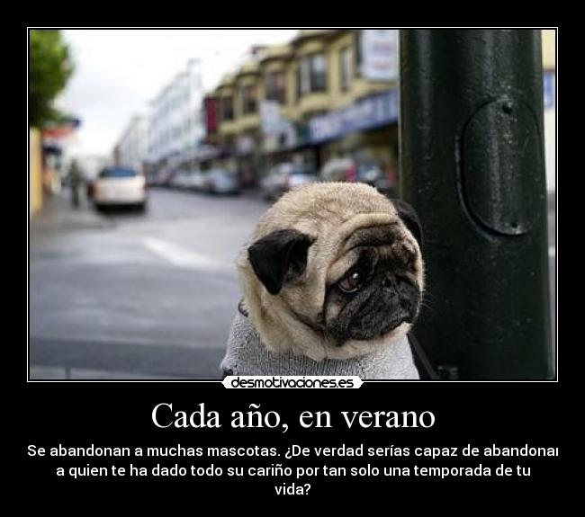 Cada año, en verano - Se abandonan a muchas mascotas. ¿De verdad serías capaz de abandonar
a quien te ha dado todo su cariño por tan solo una temporada de tu
vida?