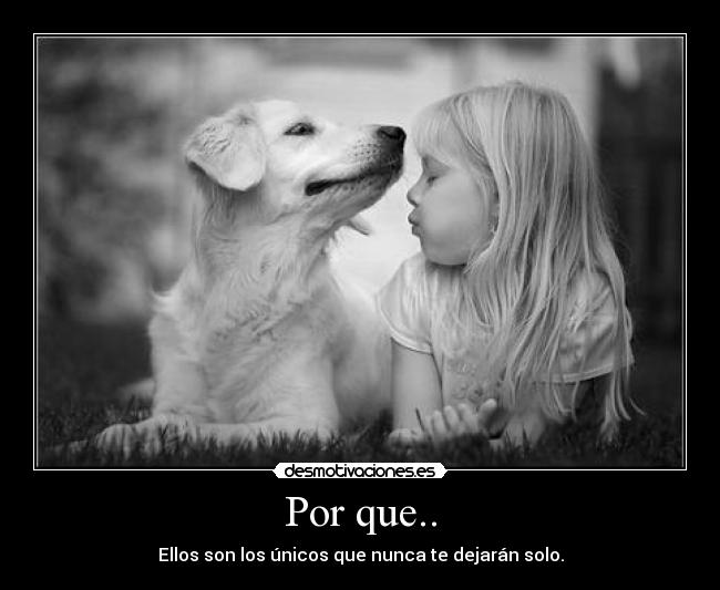 Por que.. - Ellos son los únicos que nunca te dejarán solo.