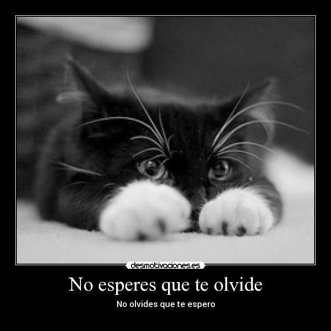 No esperes que te olvide - No olvides que te espero
