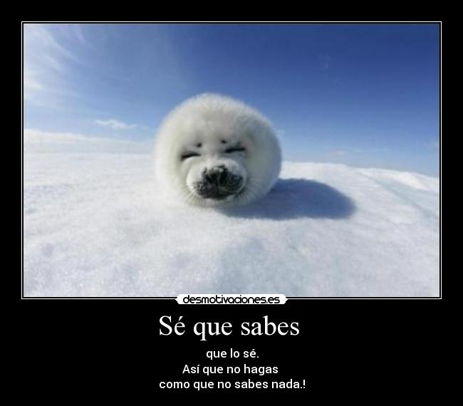 Sé que sabes  - que lo sé.
Así que no hagas 
como que no sabes nada.!