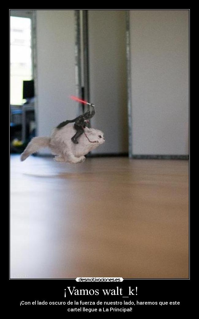 ¡Vamos walt_k! -