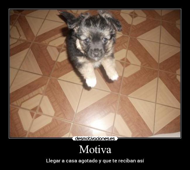 Motiva -