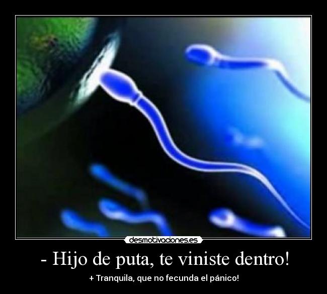 - Hijo de puta, te viniste dentro! -