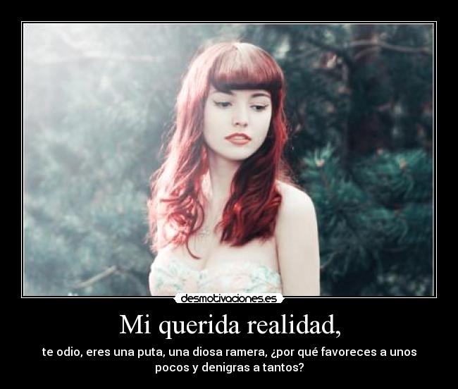 Mi querida realidad, - te odio, eres una puta, una diosa ramera, ¿por qué favoreces a unos
pocos y denigras a tantos?