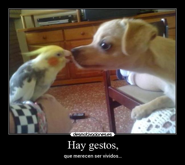 Hay gestos, -