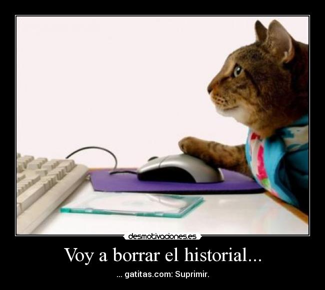 Voy a borrar el historial... - 