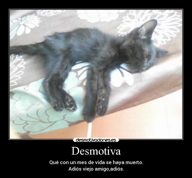 Desmotiva - 