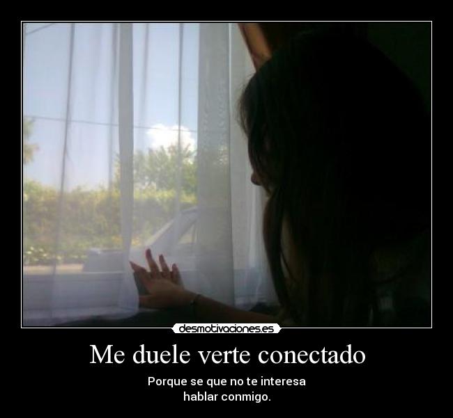 Me duele verte conectado carteles animal10 desmotivaciones