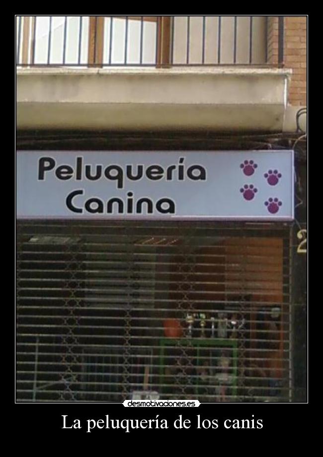 La peluquería de los canis - 