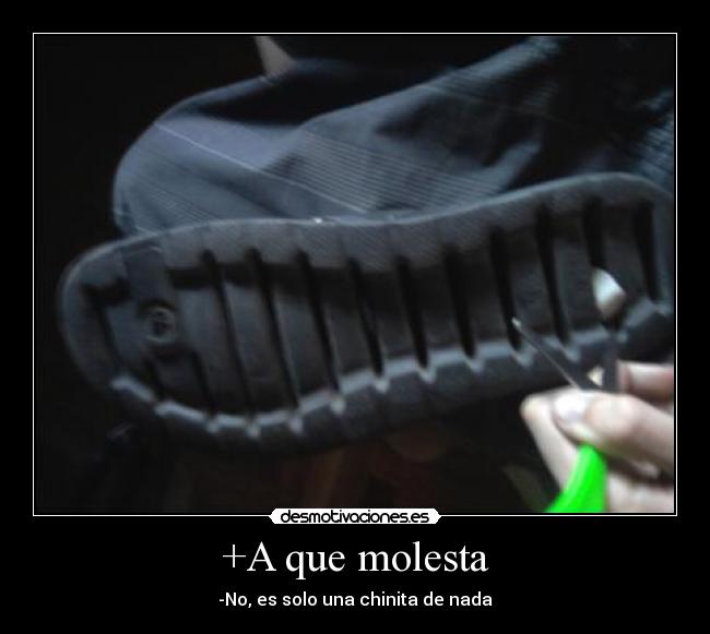 +A que molesta - -No, es solo una chinita de nada