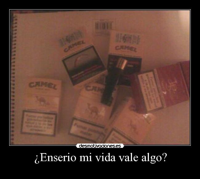 ¿Enserio mi vida vale algo? - 
