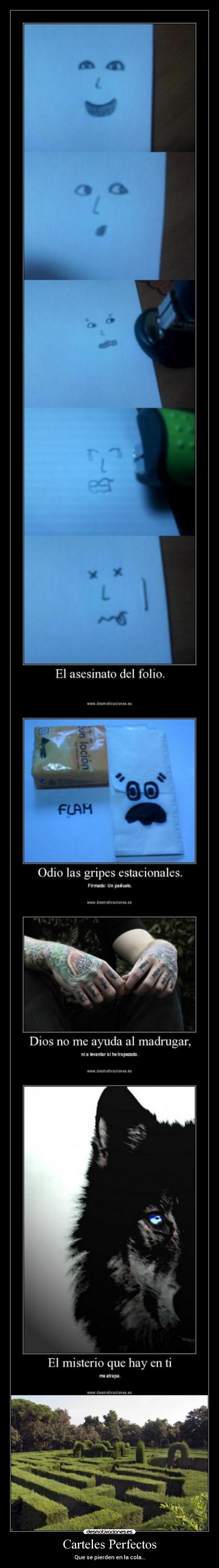Carteles Perfectos - 