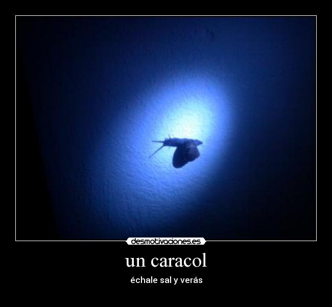 un caracol -