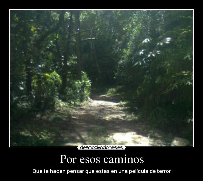 Por esos caminos - Que te hacen pensar que estas en una película de terror