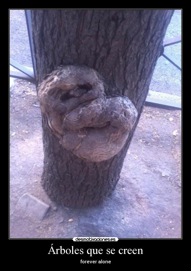 Árboles que se creen -