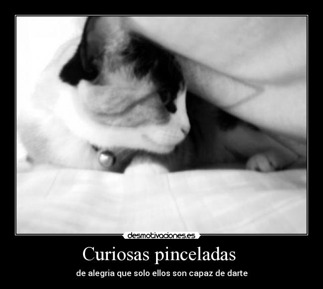 Curiosas pinceladas - de alegria que solo ellos son capaz de darte
