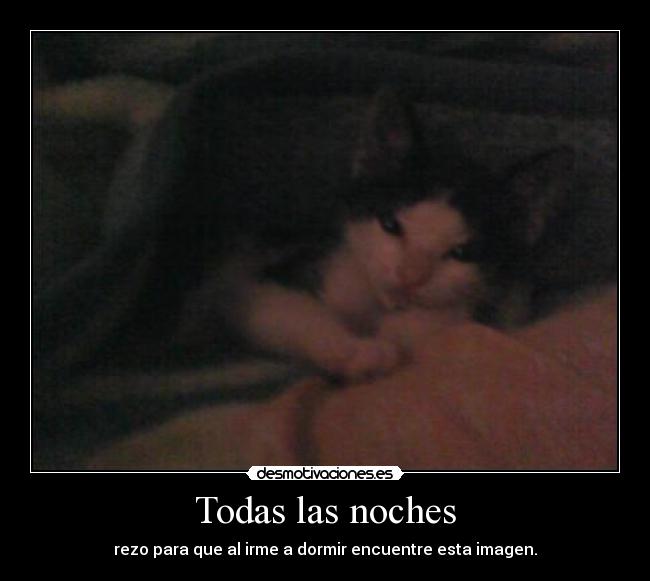 Todas las noches -