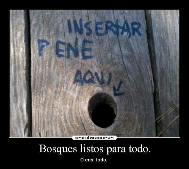 carteles bosque desmotivaciones