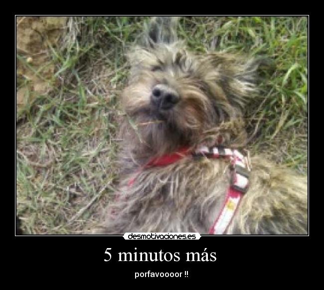 5 minutos más  - 