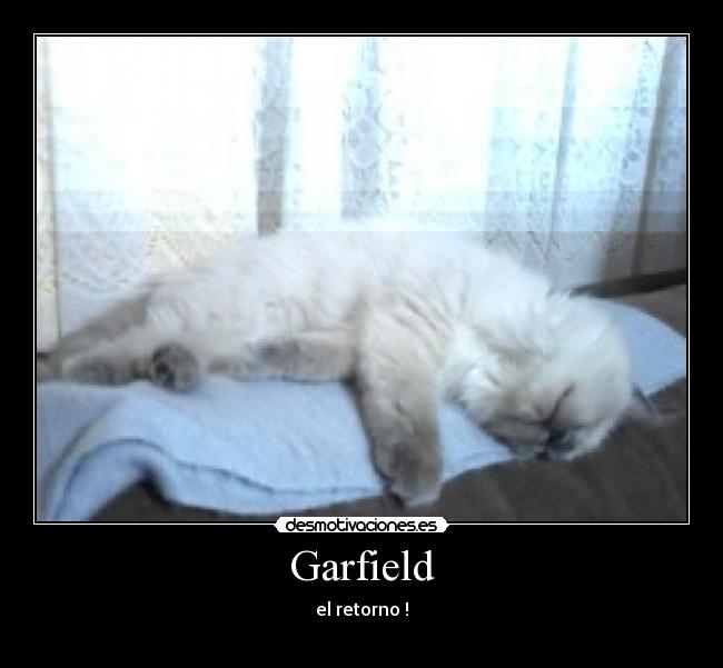 Garfield -
