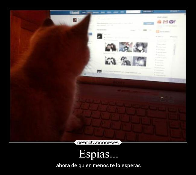 Espias... -