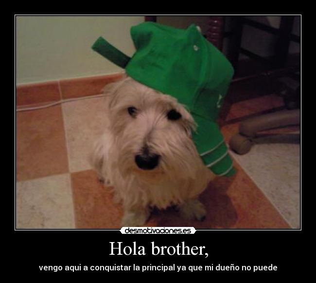 Hola brother, - 